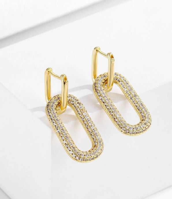 Luxe Dangle Earrings